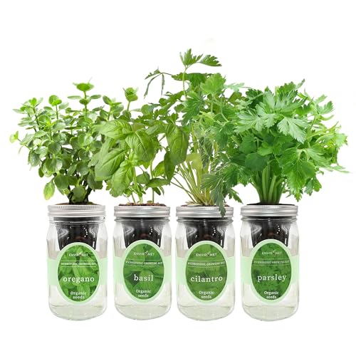 Hydroponic Herb Growing Kit Set, Self-Watering Mason Jar Herb Garden Starter Kit Indoor, Grow 4 Kinds of Herbs from Seeds (Cilantro,Basil,Parsley&Oregano) - color: Cilantro,Basil,Parsley&Oregano