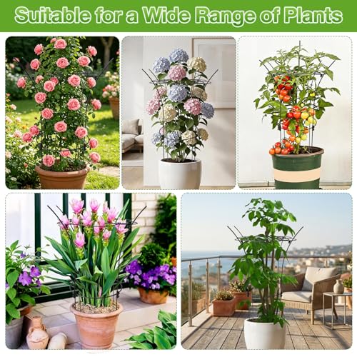 Peony Ring Metal Plant Support Cage 39in Rustproof for Roses