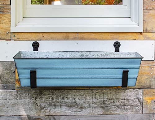 Achla Designs C-08NB-WM Small Blue Flower Wall Window Box and Brackets