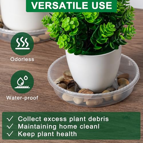Plant Saucer Tray, 6 Pack 6 Inch Plastic Plant Saucers for Indoor Outdoor - size: 6 INCH