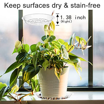 18 Pack Plant Saucers, HOMENIANG 18Pcs Clear Plant Saucer Drip (6inch / 8inch / 10inch), Flower Pot Trays, Plant Drainage Trays for Indoor Outdoor Garden Plants, 6 Pieces of Each Size - size: 6,8,10 Inch/18pcs