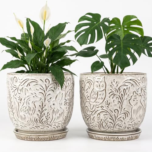 Decorative Ceramic Planter Pot with Saucer, Brown with Gold and Silver Owl Pattern, Indoor Garden Container with Drainage (White, 6 inch) - color: White, size: 6 inch