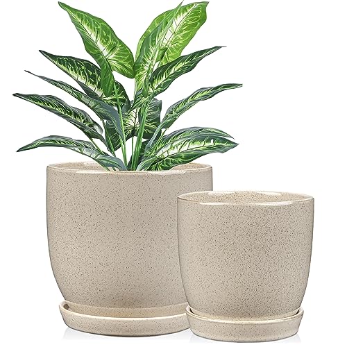 GnFlus Ceramic Plant Pots 6 Inch + 5 Inch Set of 2, Flower Plants Pot with Drainage Holes and Saucers Tray White Planter Garden Pot for Succulent Cactus Home Decoration Gift Indoor Outdoor - color: White#3