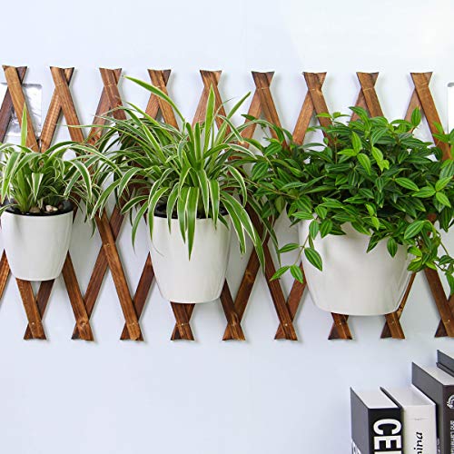 3 Packs 7.3" Plastic Self Watering Pots Wall Hanging Planters Wall Mounted Wicking Flower Pots for Indoor and Outdoor African Violet, Ocean Spider Plant, Orchid, White - size: 7.3"