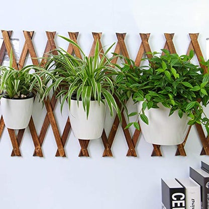 3 Packs 7.3" Plastic Self Watering Pots Wall Hanging Planters Wall Mounted Wicking Flower Pots for Indoor and Outdoor African Violet, Ocean Spider Plant, Orchid, White - size: 7.3"
