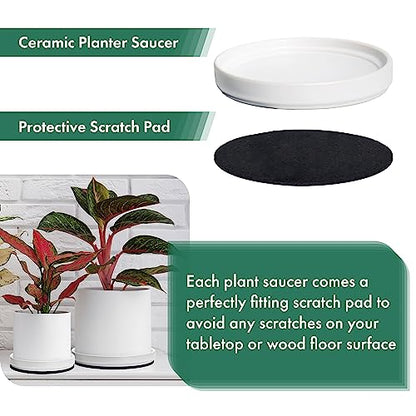 D'vine Dev 2-Pack Ceramic Plant Saucers, 5.4 in, White, 97-T-A-22 - color: White, size: 5.4" (2 Pack)