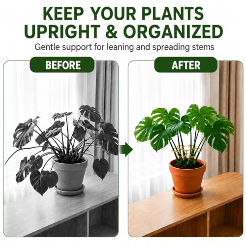 2PCS Monstera Plant Support, 4.1 Inch Metal Plant Stem Support with 6 Rings for Indoor Plants, Plant Stakes and Stem Holders for Monstera and Potted Plants(Golden) - color: Golden