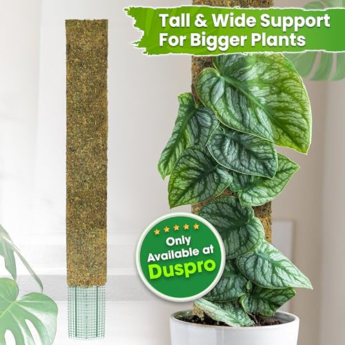 DUSPRO 59" Flat Mesh Moss Pole for Big Climbing Plants, (1pc., 59'') - size: 59" FLAT MOSS POLE