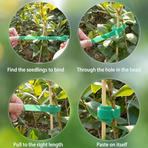 Green Reusable Plant Hook and Loop Tie Strap,Adjustable Flexible Garden Tree Support Band,0.4×5.9 Inch Weatherproof Plant Securing Tape for Vine Tomato Flower Climbing Fixing
