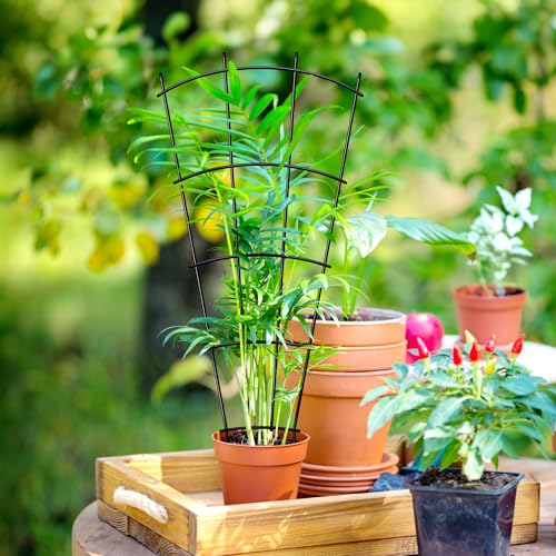 Thealyn 24" Metal Plant Trellis, Climbing Plant Support, 4 Pack Black - size: 24 inch