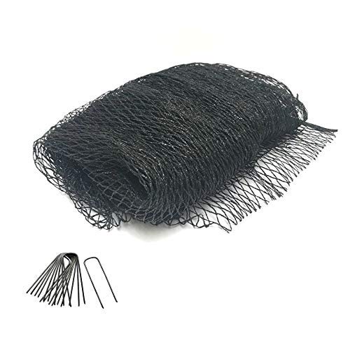Green Vista 1/2 Inch Commercial Quality Bird Barrier Netting 20x10 Feet - Protects Vegetables, Fruit Trees, Berry Shrubs, Flowers - Small Mesh Size, Heavy Duty, UV Resistance, Steel Stakes