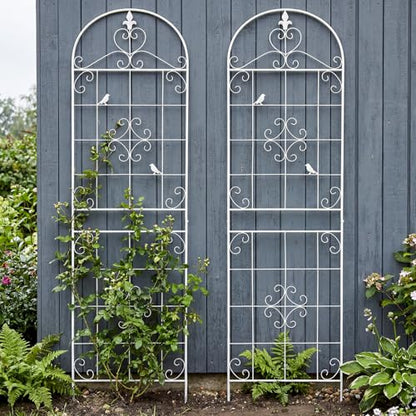 70.8" White Metal Garden Trellis for Climbing Plants, 2 Pack - color: White