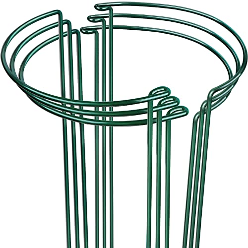 LEOBRO Plant Support Plant Stakes, 6pcs Peony Cages and Supports, Metal Garden Stakes Plant Supports, Plant Support Stakes, for Peony, Tomato, Hydrangea, Indoor Outdoor Plants, 10" W x 15.8" H - size: 10" W x 15.8" H