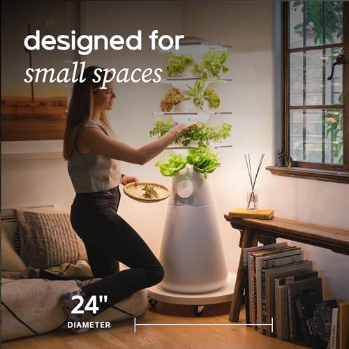 Lettuce Grow 24in Plant Dolly with Wheels | Rolling Base for Planters