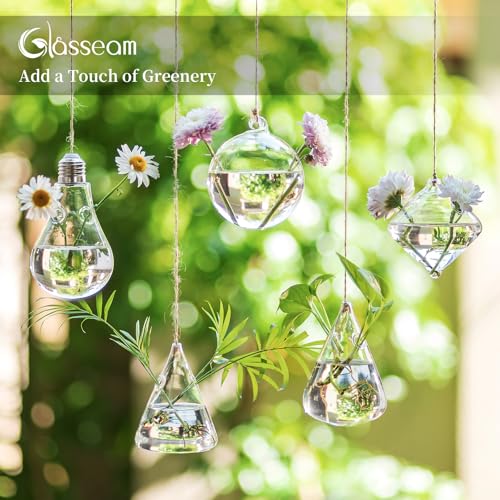 Glasseam Hanging Plant Propagation Station: 5Pcs Small Glass Terrarium Jars