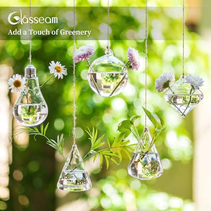 Glasseam Hanging Plant Propagation Station: 5Pcs Small Glass Terrarium Jars