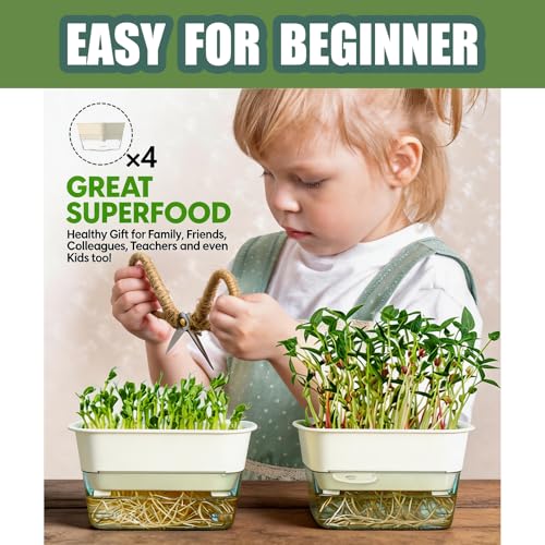 QISHENG - 4 Pack Microgreens Grow Kit,Soil-Free Cultivation Germination Tray,BPA-Free Indoor Sprouting Kit for Growing Bean Sprouts/Organic Seeds/Broccoli/Alfalfa/Radish/Clover (Beige)