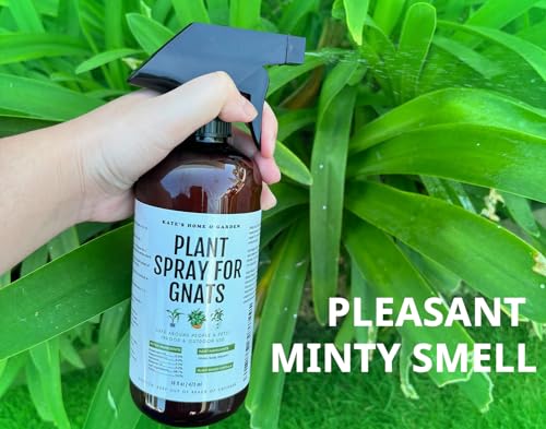 Kate's Home & Garden Plant Spray for Insects & Gnats, 12 Sticky Traps, 16oz - size: 16 Fl Oz (Pack of 1)