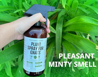 Kate's Home & Garden Plant Spray for Insects & Gnats, 12 Sticky Traps, 16oz - size: 16 Fl Oz (Pack of 1)