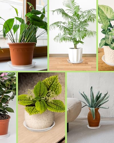 18 inch 5 Pack Plant Saucer Pot Tray, Large Thickened PP Plastic Flower Planter Water Drip Trays for Indoor Outdoor Garden, Semi-Transparent Planter Water Catcher for Pot, Plant Dish - size: 18 Inch