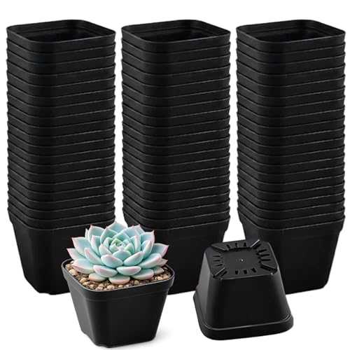 100 Packs Square Nursery Pots for Plants 4 Inch Seedling Pots - size: 4 Inch