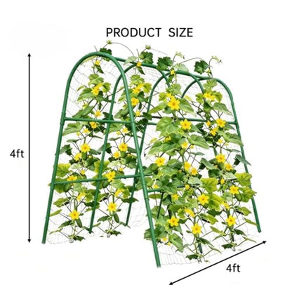 Garvee Garden Arch Trellis for Raised Beds, 4 FT - size: 4x4x2 Ft