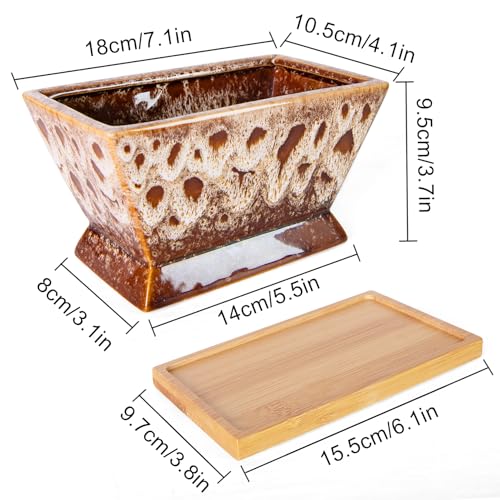 ARTKETTY Succulent Pots, 7 Inch Large Plant Pots with Drainage Tray - color: White With Tray