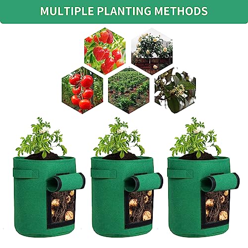 5-Pack 10 Gallon Grow Bags with Harvest Window - Thickened Fabric Plant Pots for Vegetables, Potato, Tomatoes & Carrots | Indoor/Outdoor Gardening Containers with Reinforced Handles Green - size: 10GAL-GRN