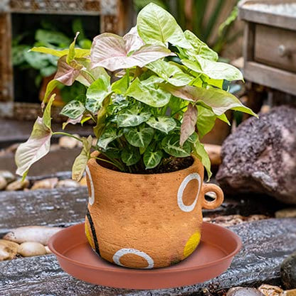 2 Pack of 12 inch Plant Saucer, Bird Bath Bowl 12 inch, Plant Tray for Pots, Flower Plant Saucers for Indoors, Plant Trays for Planter 11"/12" (12 inch, Terracotta) - size: 12" (2 pack)