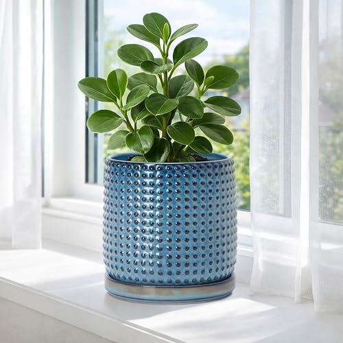D'vine Dev Beaded Ceramic Pot with Saucer, 6 in, Ocean Teal, 27-C-X-8 - color: Ocean Teal, size: 5.8 Inch