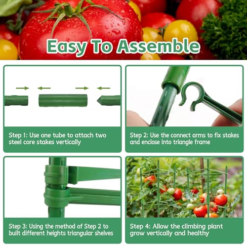 Riare 6 Pack 4 FT Tomato Cages for Garden, Heavy Duty Tomato Trellis - color: 6Pack, size: 48Inches