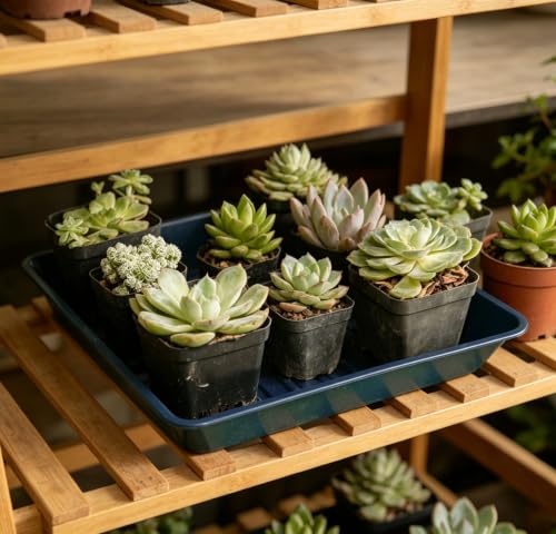 6 Packs Square Plant Saucer Pot Tray, 10 inch Blue Flower Planter Saucers and Drip Trays - color: Blue, size: 10" - 6 Pack