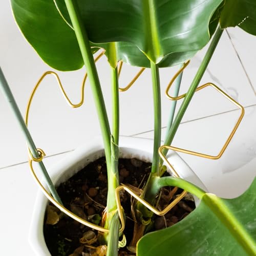 5PCS 10 * 9.3In Monstera Plant Support Stem-Ideal for Indoor Plants - size: 11x9.4inches