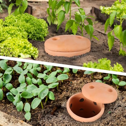 Underground Worm Composting Bin 10In Outdoor Inground Worm Composter for Beginners, Garden Compost Bin for Garden Beds & Home Use for Kitchen Waste and Raised Garden Beds