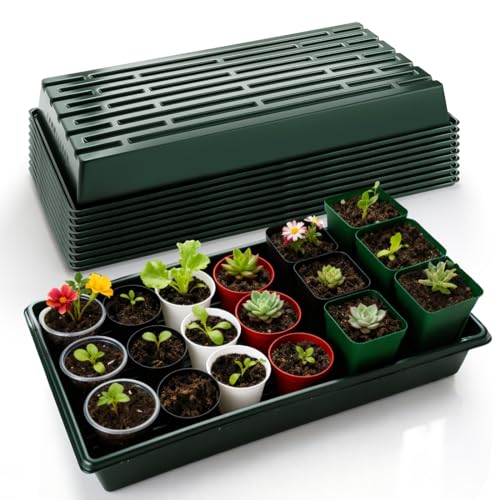 RooTrimmer 10 Pack 1020 Trays No Holes-Reusable Nursery Flats for 50/72 Cell Plug Tray, Heavy Duty Seed Starter Trays for Transplant, Seed Starting, Plant Propagation & Seed Germination (Dark Green) - size: TD542-10P-Dark Green