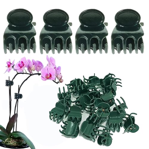 Plant Clips Orchid Clips Plants Orchid Support Clips 30Pcs Flower Vine Clips for Supporting Stems Vines Stalks Climbing Plant Grow Upright (Green, 0.6x0.86in)