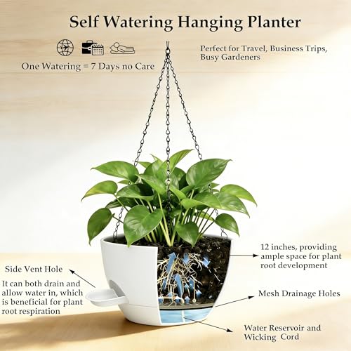 2 Pack 12 Inch Self‑Watering Hanging Planters Plant Pots, White - color: White