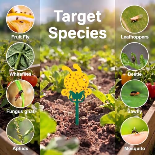 Fruit Fly Trap 96 Pack Yellow Sticky Gnat Killer Traps for Indoor Plants - size: 96 Packs