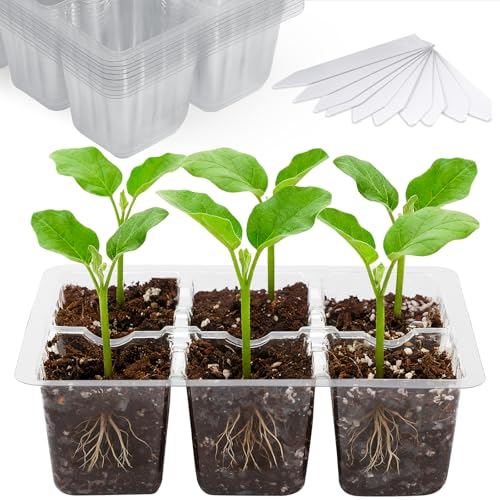 Bonviee 10-Pack Seed Starter Trays, 6-Cell Insert Trays, Clear - color: Clear, size: 10 Packs (60 XL Cells)