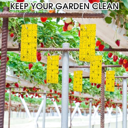 Qualirey 600 Pcs Sticky Trap for Gnats 3 x 5'' Dual Side Sticky Fruit Fly Trap with Tie Plant for Flying Insect Fungus Bugs Flying Catcher for Indoor (Yellow)