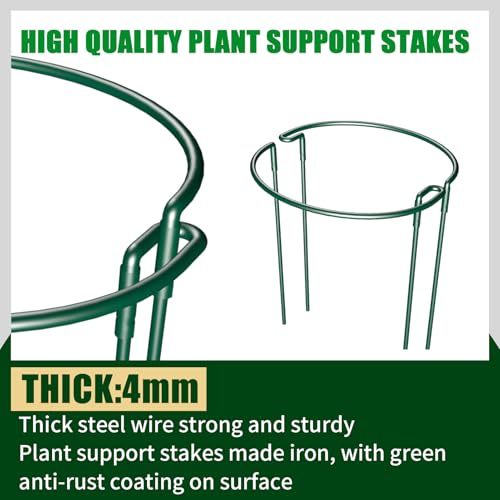 Plant Support Stakes 6 Pack 10" W x 24" H, Half Round Garden Stake, Metal Ring Border, Green Peony Cages and Supports for Tomato Hydrangea Flower Outdoor - size: 6pack 10inx24in