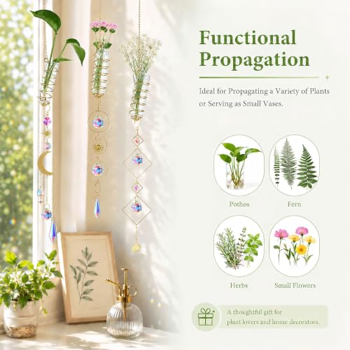 6pcs Plant Propagation Station Hanging Suncatcher with Chain Pendant