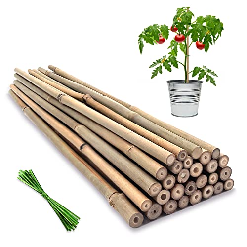 Plant Stakes,18IN Natural Garden Bamboo Sticks, 20Pcs Plant Support Stakes - size: 18 Inches, Pack of 20