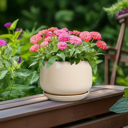 G EPGardening Ceramic Pot for Plants, 6 Inch Planter with Drainage, Beige - color: Beige, size: 5 Inch