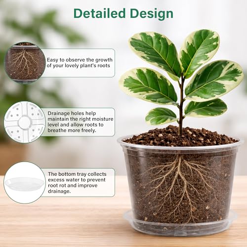 Bluepro Clear Nursery Pots with Saucers, 8 Inch, 8-Pack - size: 8 Inch-8Pcs
