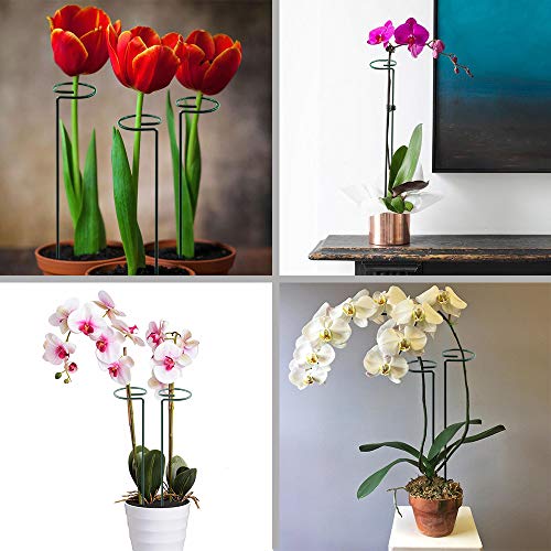 HiGift 5 Pack Plant Support Stakes, Garden Single Stem Flower Support Stick Metal Amaryllis Plant Cage Support Rings with 10pcs Plant Clips for Orchid Lily Peony Rose Stem (40 cm/16 inch Long) - size: 16 Inch-5 Pack