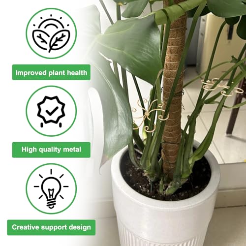 6pcs Plant Stem Support, Iron Monstera Plants Support, Plant Stem Holder - color: Gold-6pcs