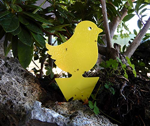 Yellow Sticky Fly Traps (25 Pack) for Gnat Whitefly Fungus Gnat Aphid Small Insects - Houseplant Disposable Glue Trappers - Bug Catcher - Bird Shape - color: Bird 25 Pack