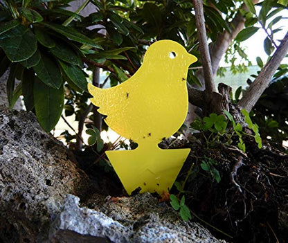 Yellow Sticky Fly Traps (25 Pack) for Gnat Whitefly Fungus Gnat Aphid Small Insects - Houseplant Disposable Glue Trappers - Bug Catcher - Bird Shape - color: Bird 25 Pack