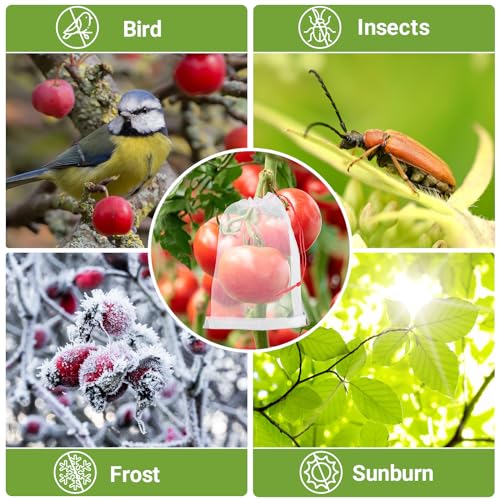 Fruit Protect Bags, 50pcs 4x6 in Garden Netting Bags with Drawstring Against Fruits Flies Bugs Birds Insects, Fruit Tree Bags for Protecting Apple Tomato Peach Figs Guavas Citrus - size: 4"x6"/Pack of 50